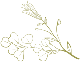 TitleFlower